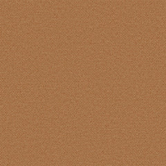 Simplicity - Raw Sienna - 2008 - 08