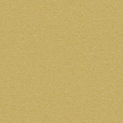 Simplicity - Anjou - 2008 - 09