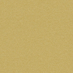 Simplicity - Anjou - 2008 - 09 - Half Yard