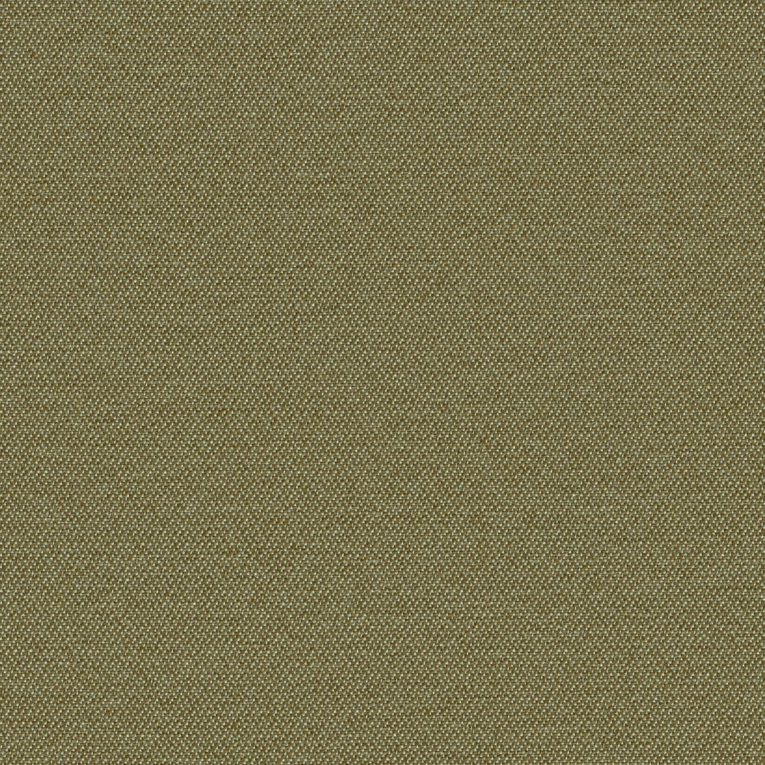 Simplicity - Olive - 2008 - 10 - Half Yard