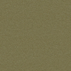 Simplicity - Olive - 2008 - 10 - Half Yard