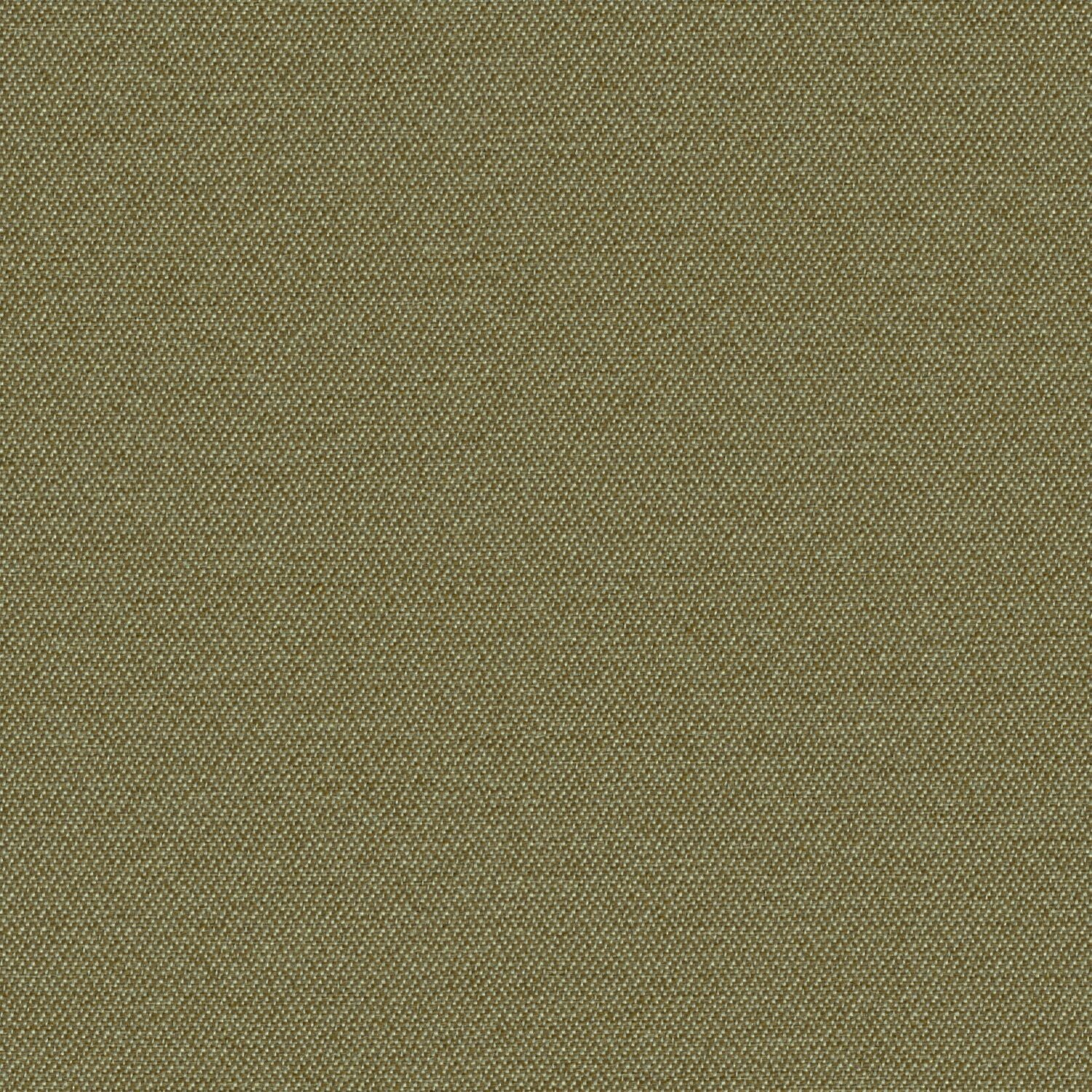 Simplicity - Olive - 2008 - 10 - Half Yard