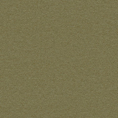 Simplicity - Olive - 2008 - 10