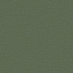Simplicity - Paris Green - 2008 - 11 - Half Yard