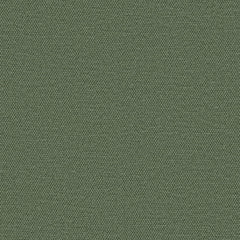 Simplicity - Paris Green - 2008 - 11