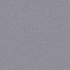 Simplicity - Tin Gray - 2008 - 15