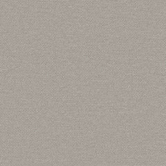Simplicity - Greige - 2008 - 17 - Half Yard