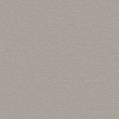 Simplicity - Greige - 2008 - 17