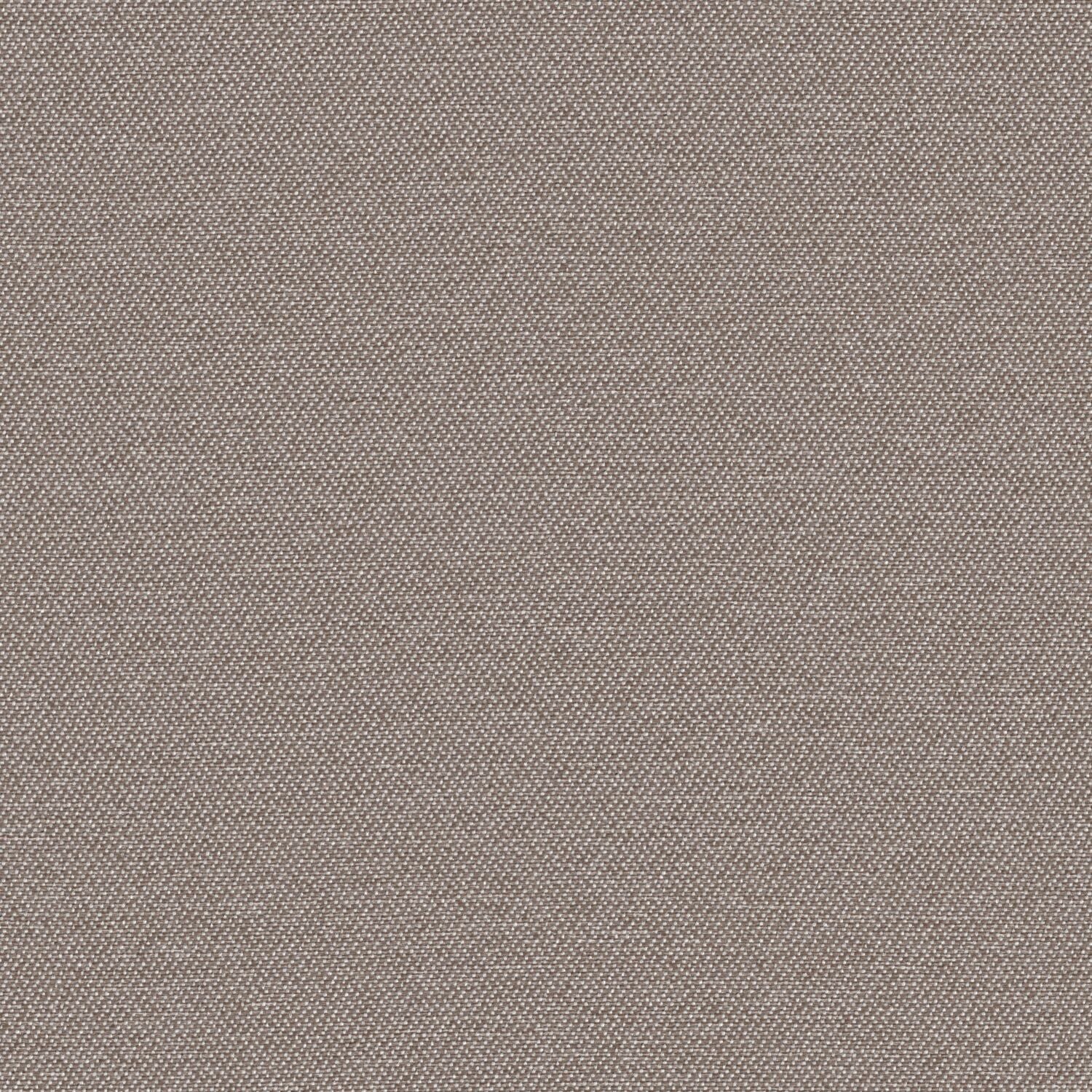 Simplicity - Mushroom - 2008 - 18
