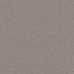 Simplicity - Mushroom - 2008 - 18 - Half Yard