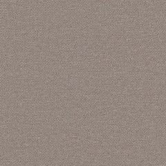 Simplicity - Mushroom - 2008 - 18