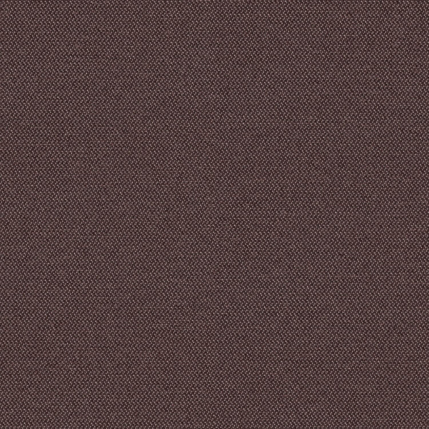 Simplicity - Aubergine - 2008 - 20