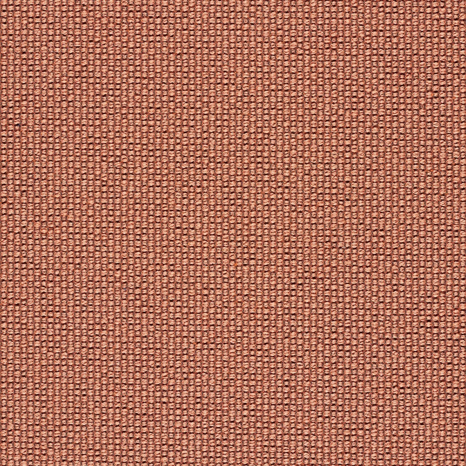 Ample - Convection - 4034 - 20 - Half Yard