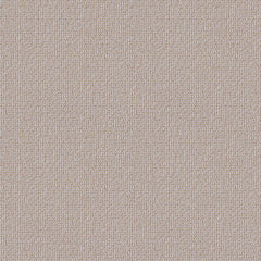 Twisted Tweed - Stucco - 4096 - 06 - Half Yard