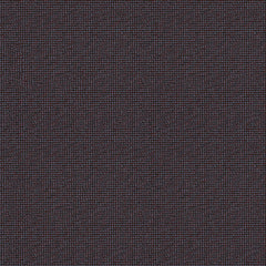 Twisted Tweed - Annual - 4096 - 13 - Half Yard