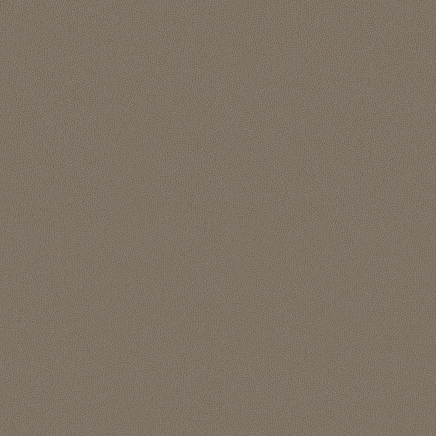 Touch Tone - Fallow - 4117 - 12 - Half Yard