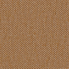 Trichroma - Roam - 4127 - 06 - Half Yard