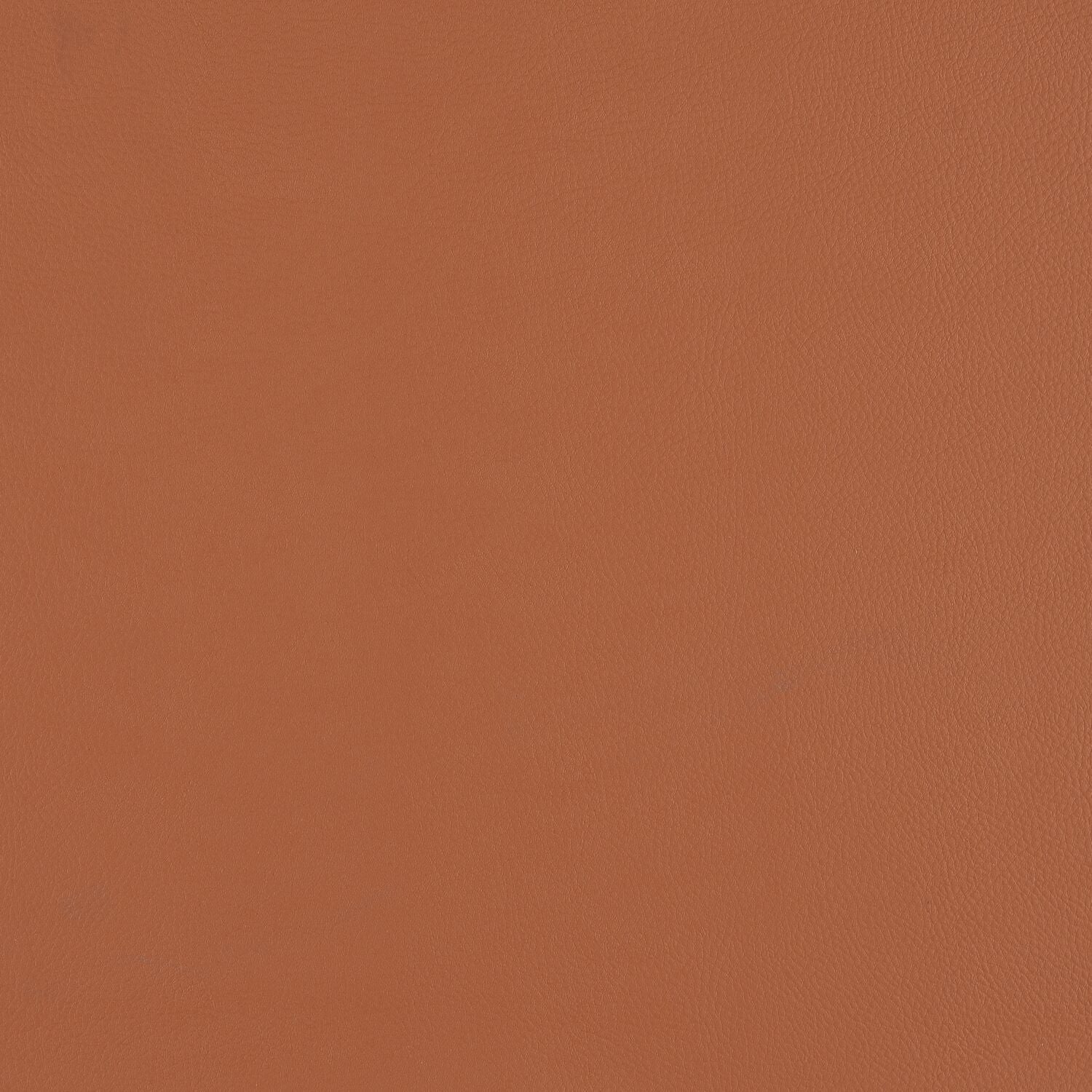 Top Coat - Claycast - 4083 - 09 - Half Yard