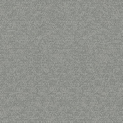 Texture Map - Rockfall - 2004 - 03 - Half Yard