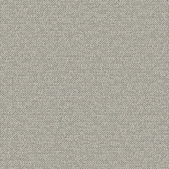 Texture Map - Trace Fossil - 2004 - 04 - Half Yard