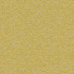 Texture Map - Elm Pollen - 2004 - 10 - Half Yard