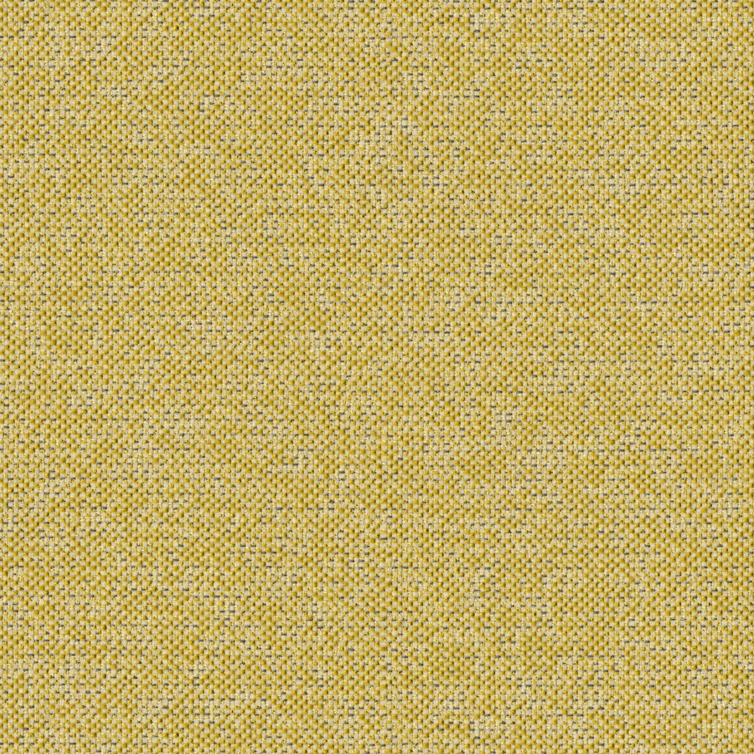 Texture Map - Elm Pollen - 2004 - 10 - Half Yard