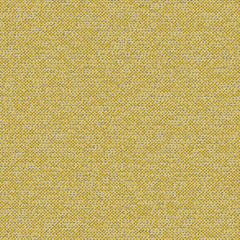 Texture Map - Elm Pollen - 2004 - 10