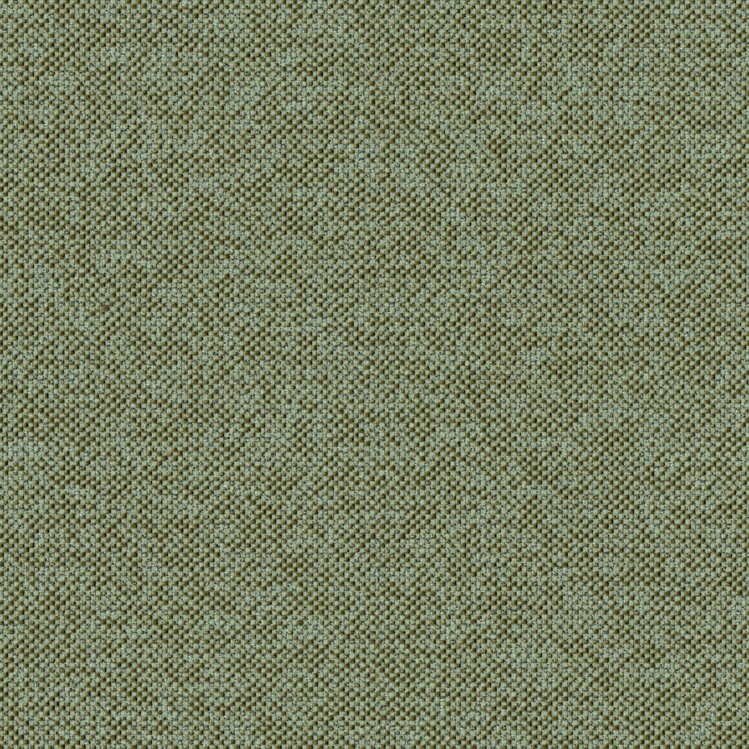 Texture Map - Linden - 2004 - 12