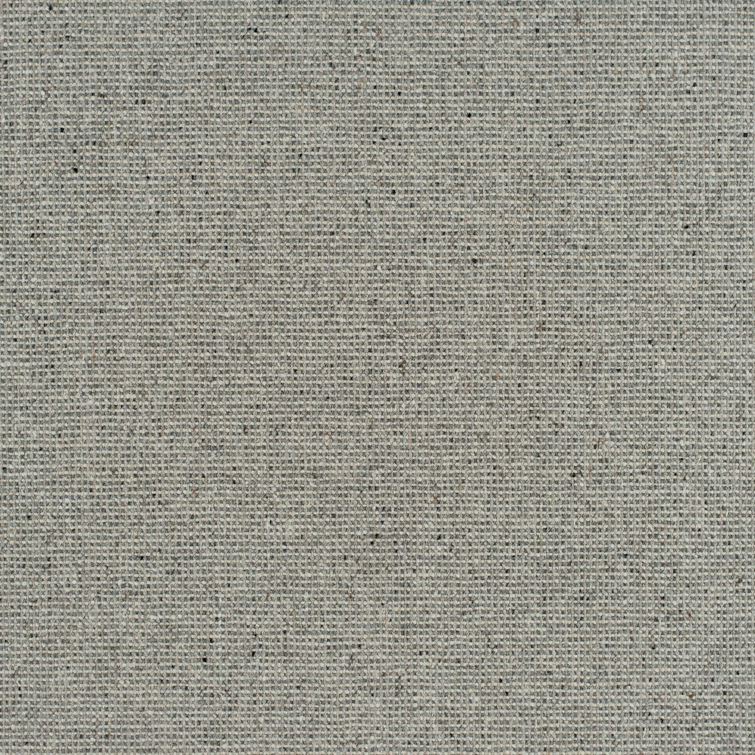 Wool Fleck - Micrite - 4099 - 04