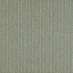 Welded - Synergy - 4095 - 10 - Half Yard