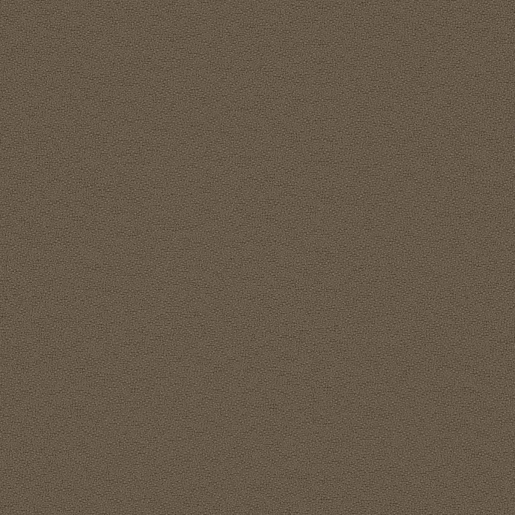 Essentials - Brier - 1006 - 04 - Half Yard