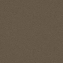 Fundamentals - Brier - 4001 - 04 - Half Yard