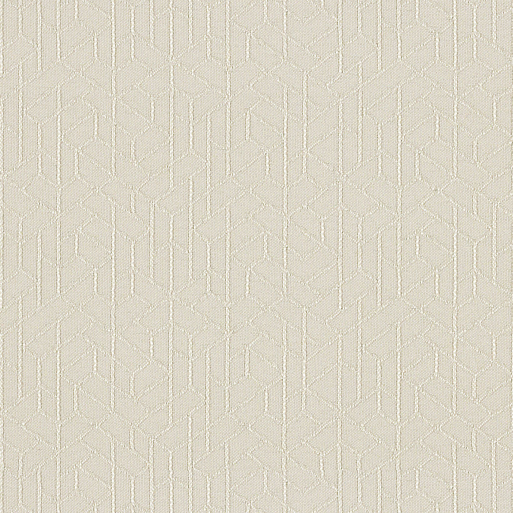 Topology - Ceramic - 1011 - 01 - Half Yard