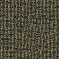 Ample - Chameleon - 4034 - 06 - Half Yard