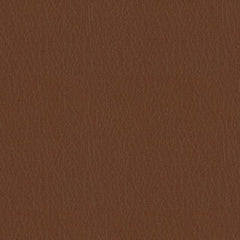 Fortis - Canyon - 4025 - 01 - Half Yard