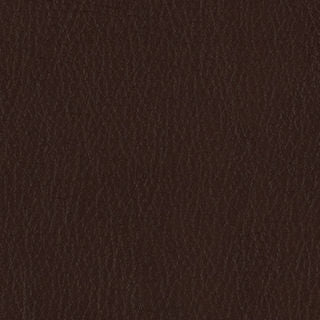 Fortis - Terra - 4025 - 04 - Half Yard