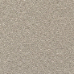 Fundamentals - Latte - 4001 - 03 - Half Yard