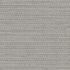 Strio - Lithic - 7007 - 03 - Half Yard