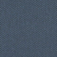 Magnify - Long Wave - 4019 - 06 - Half Yard