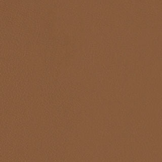 Merus - Teak - 4023 - 01 - Half Yard