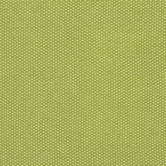 India - Pune - 1003 - 09 - Half Yard