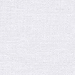 Warp Speed - White Space - 1007 - 02 - Half Yard