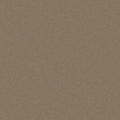 Nomad - Barn Owl - 4149 - 03