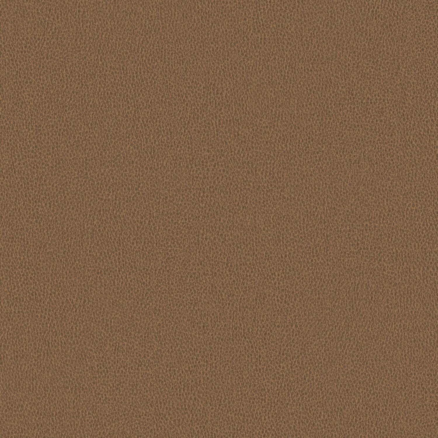 Nomad - Camel - 4149 - 05 - Half Yard