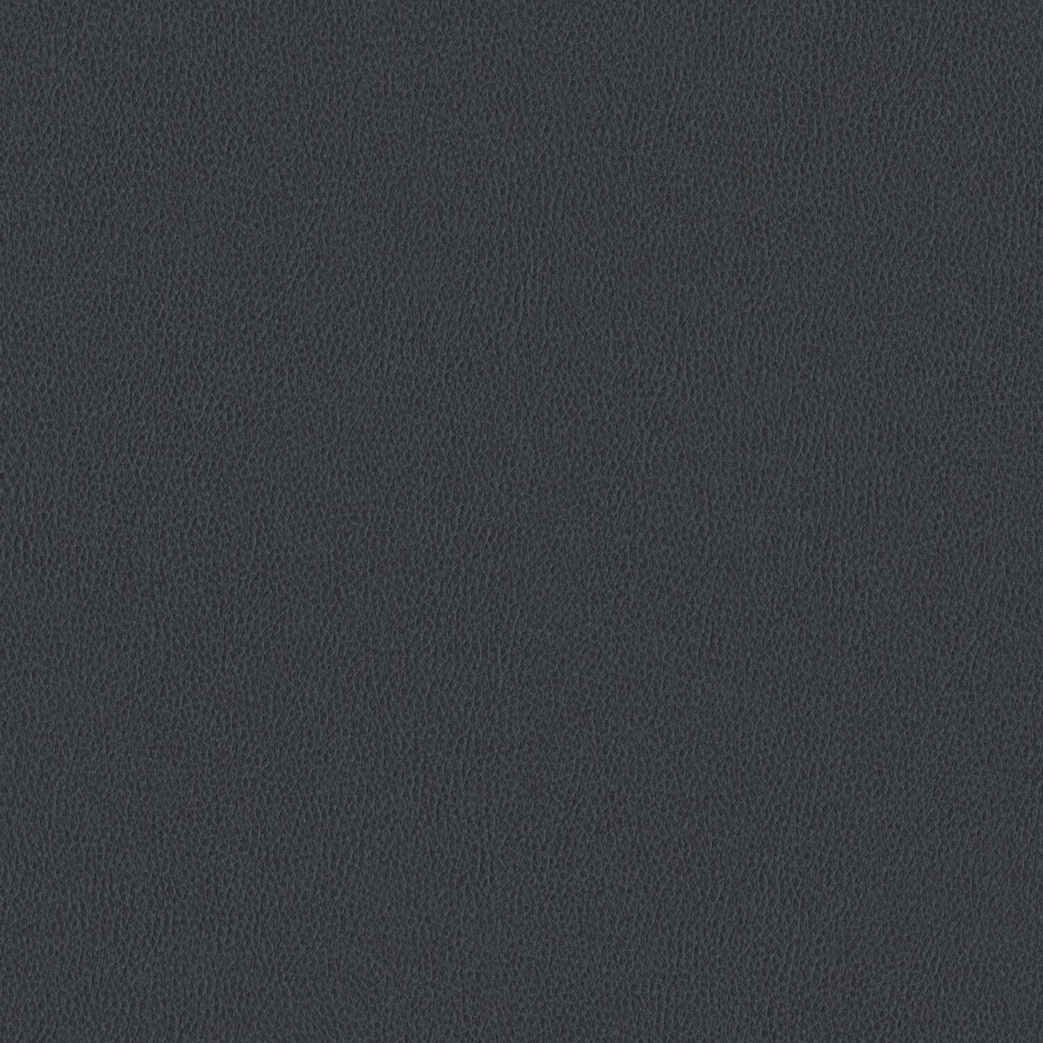 Nomad - Nocturnal - 4149 - 21