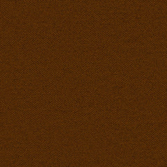 Pathway - Chestnut - 2012 - 05 - Half Yard
