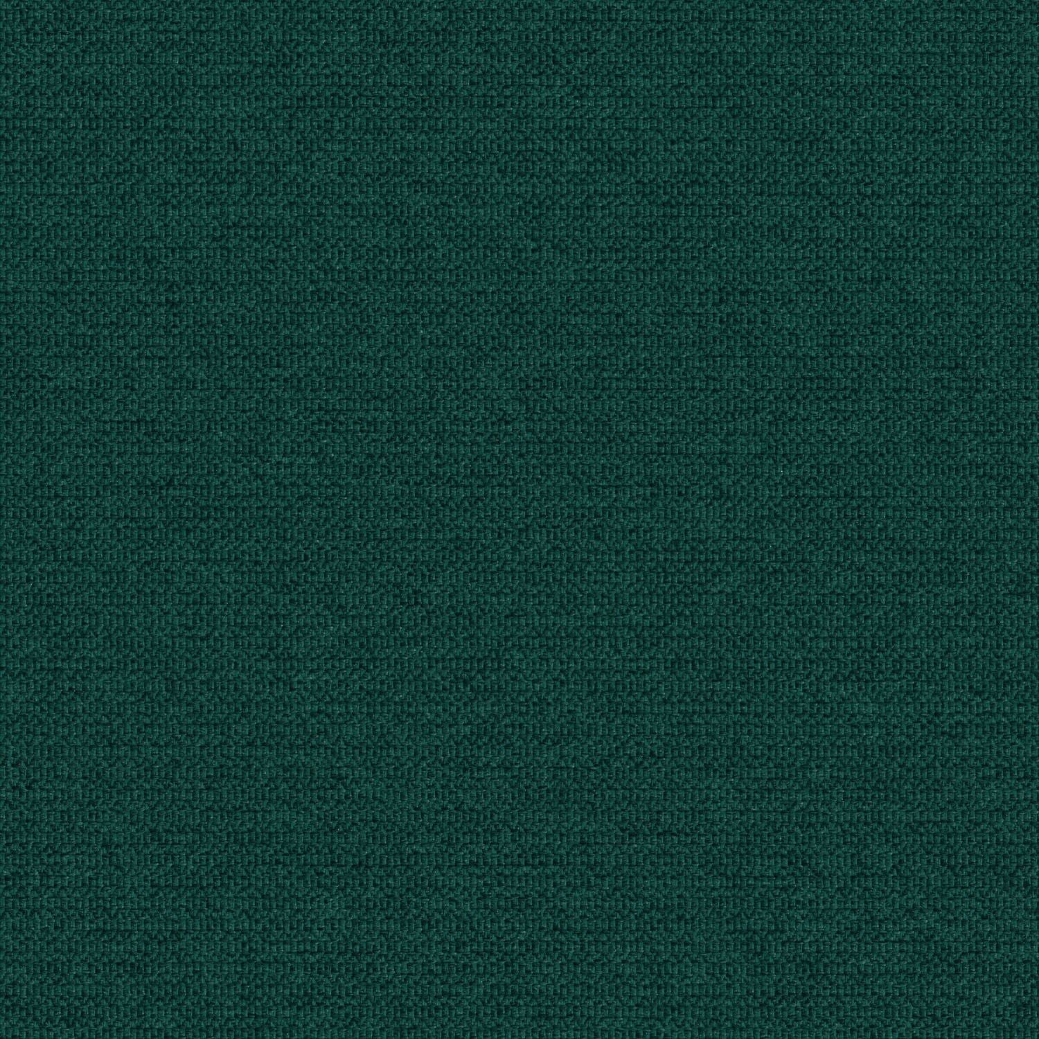 Zippy - Foliage - 2014 - 07 - Half Yard