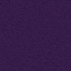 Zippy - Elderberry - 2014 - 11