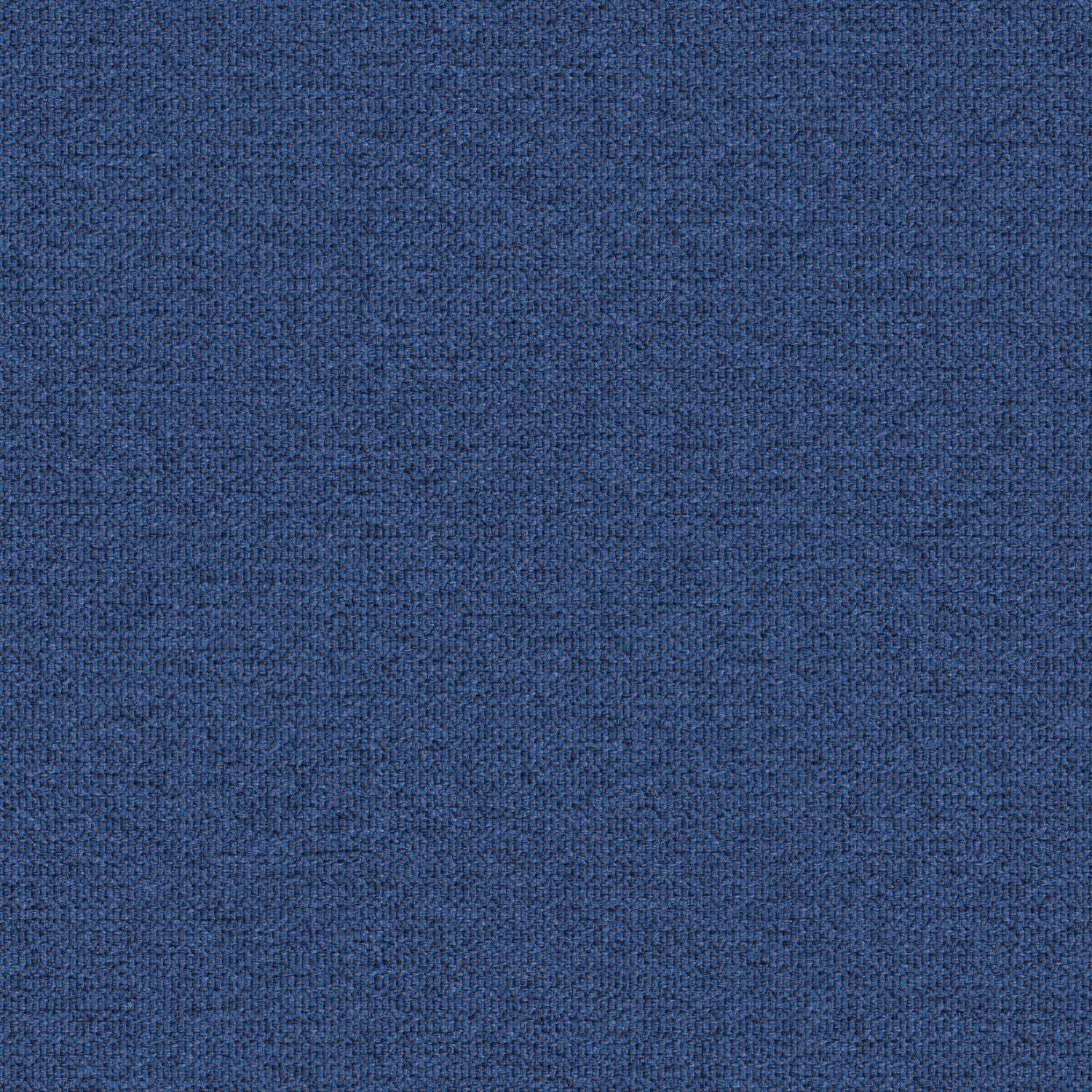 Zippy - Squid Ink - 2014 - 13 - Half Yard