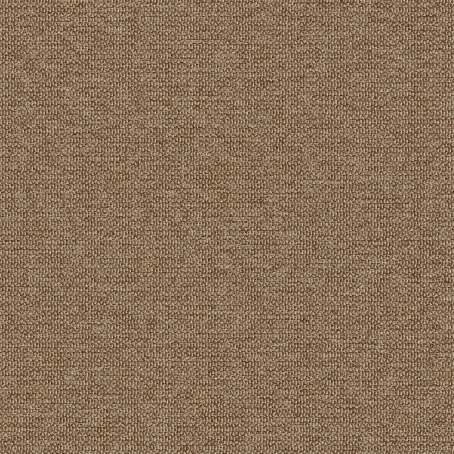 Zippy - Toast - 2014 - 16 - Half Yard